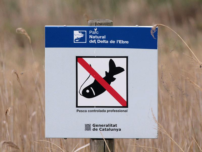 Parc Natural del Delta de l'Ebre